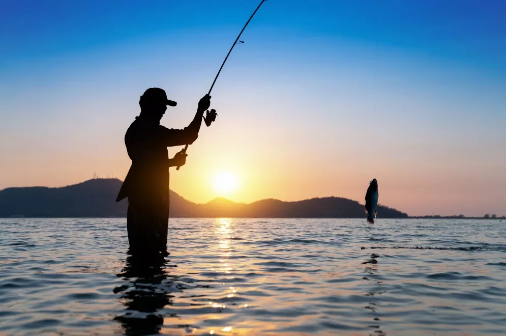 Prazo para pescadores se cadastrarem no Repesca vai até 19 de fevereiro