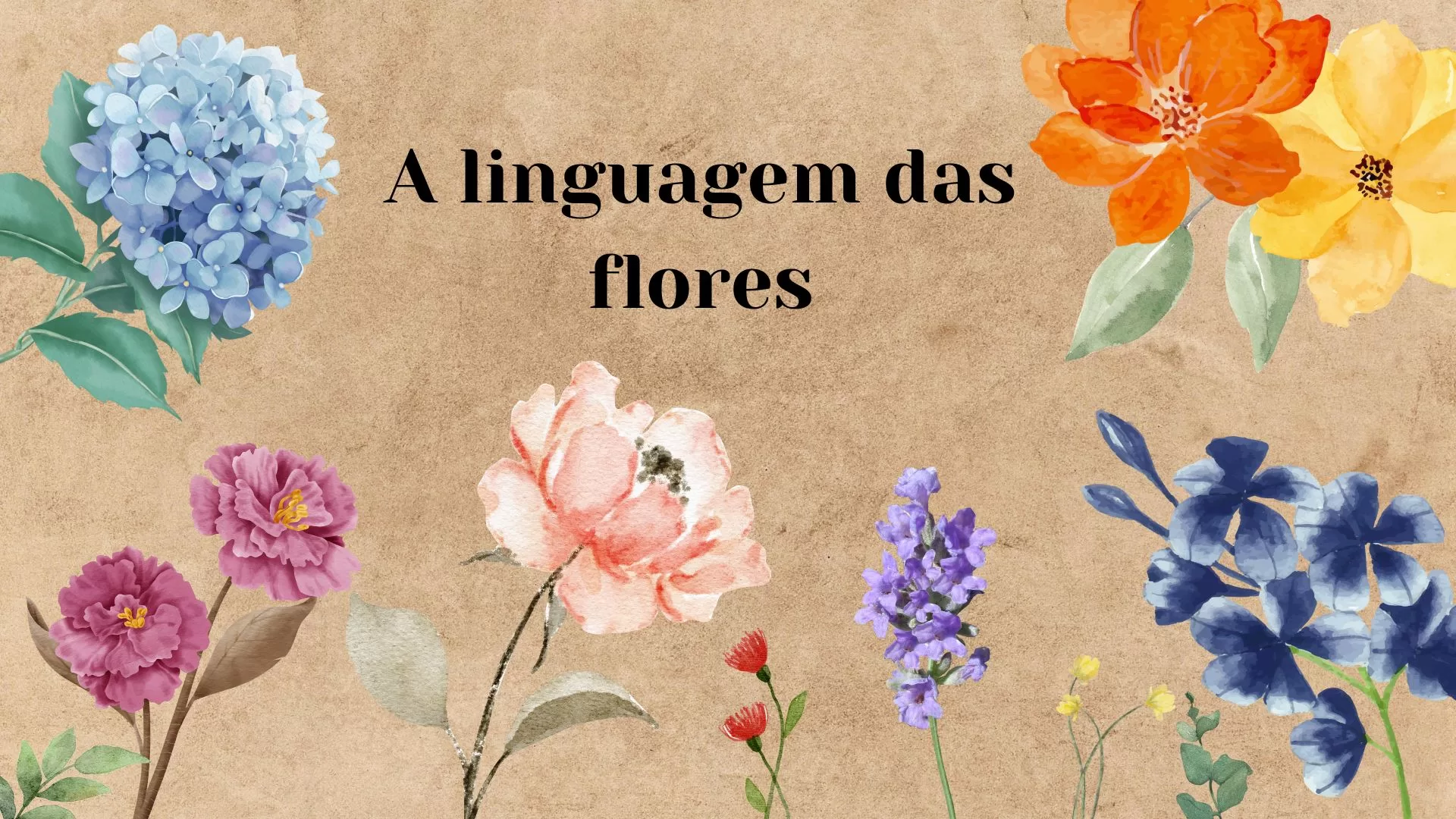 Entenda sobre a linguagem das flores; códigos usados durante os séculos passados