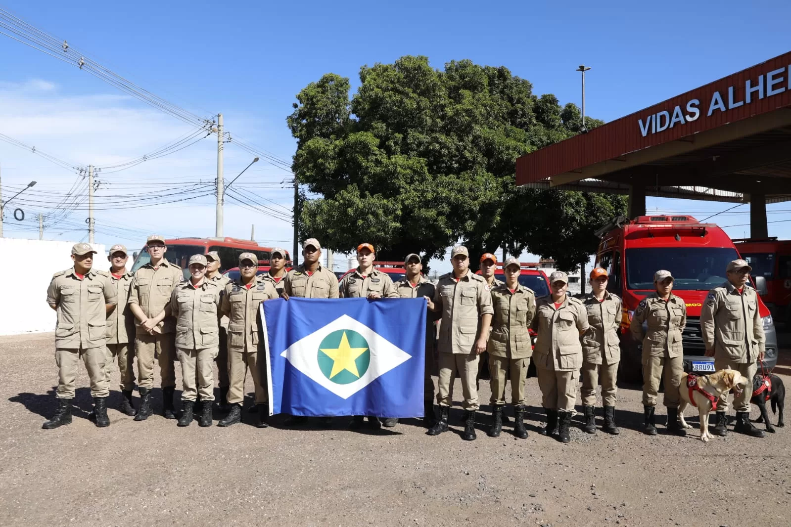 Bombeiros e cães farejadores de MT iniciam operações no Rio Grande do Sul